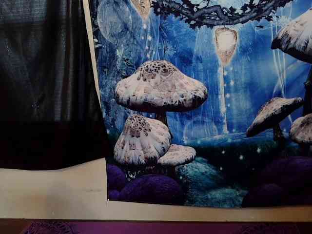 stormythunder webcam