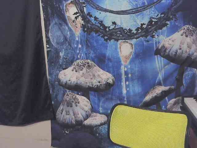 stormythunder webcam