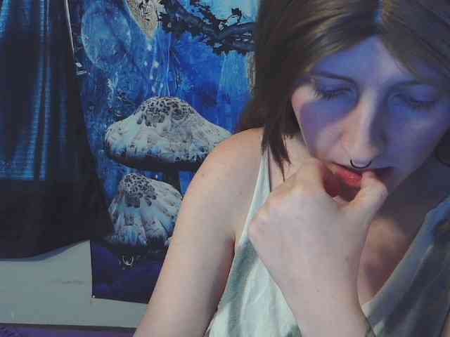 stormythunder webcam