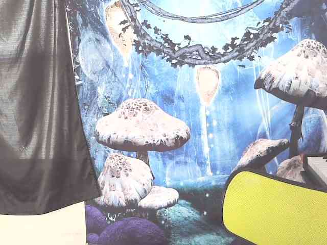 stormythunder webcam