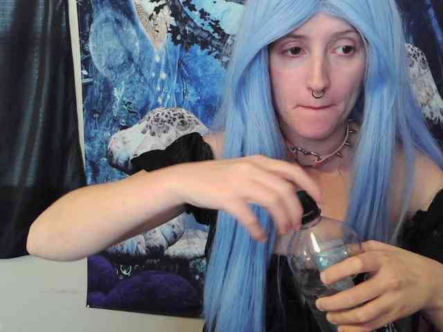 stormythunder webcam