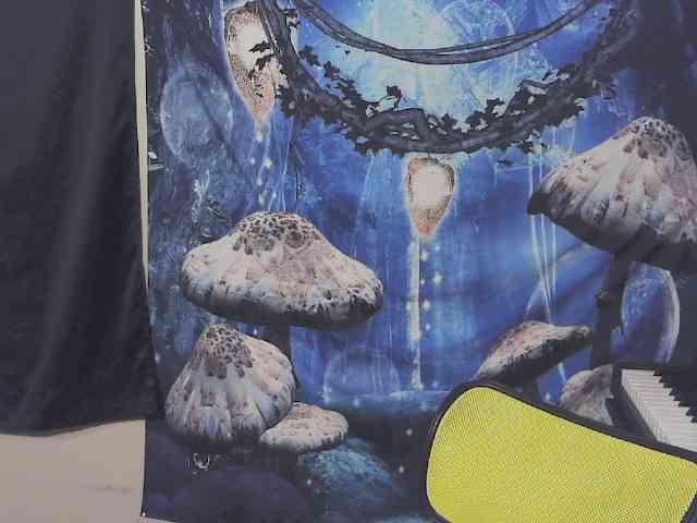 stormythunder webcam