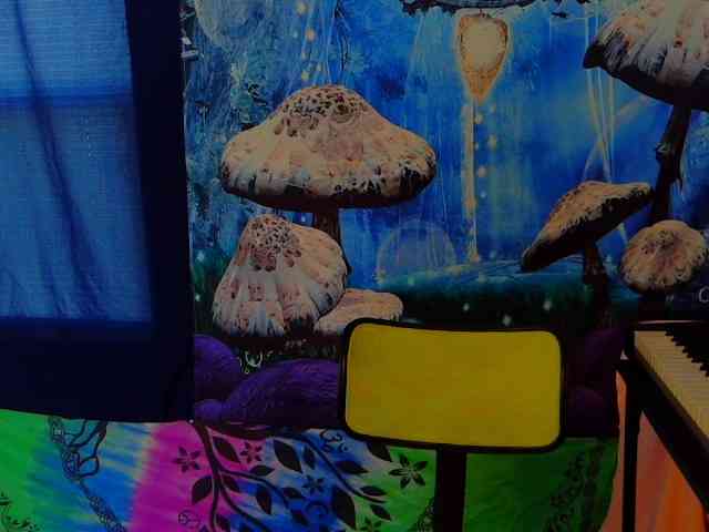 stormythunder webcam