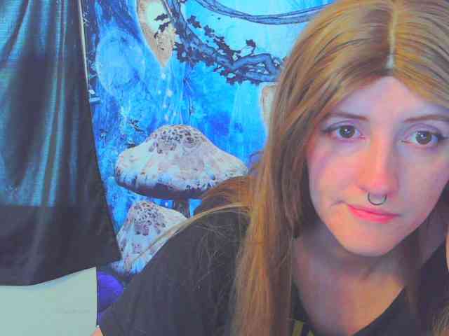 stormythunder webcam