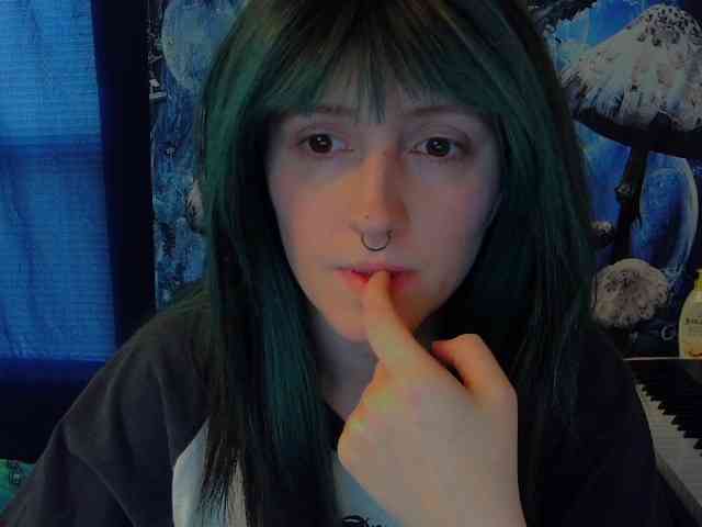 stormythunder webcam