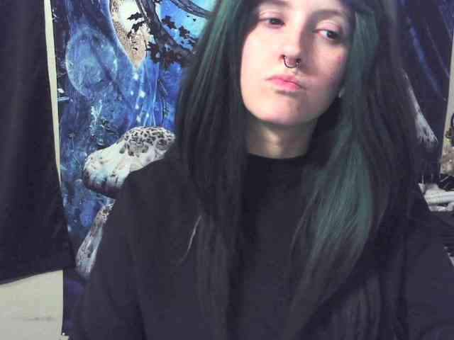 stormythunder webcam