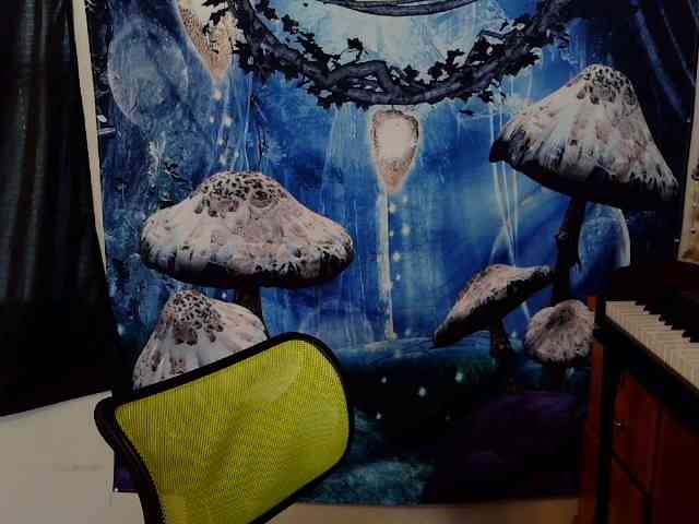 stormythunder webcam