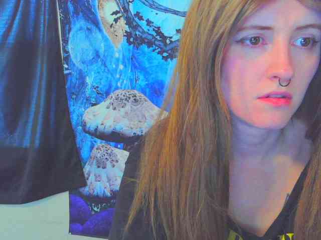 stormythunder webcam