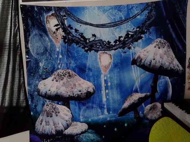 stormythunder webcam