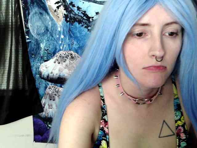 stormythunder webcam