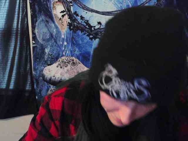 stormythunder webcam