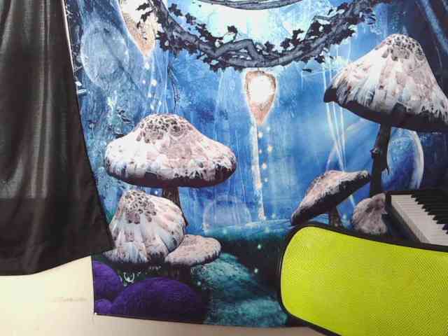 stormythunder webcam