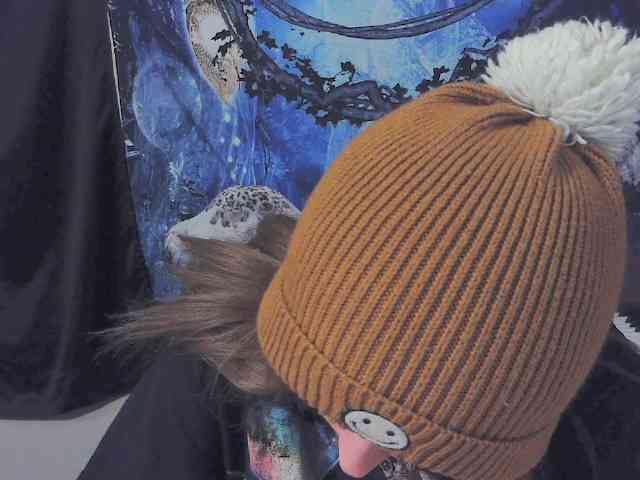 stormythunder webcam