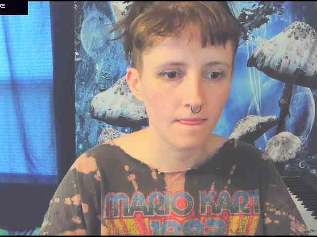 stormythunder webcam