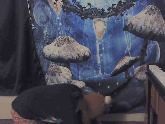 stormythunder webcam