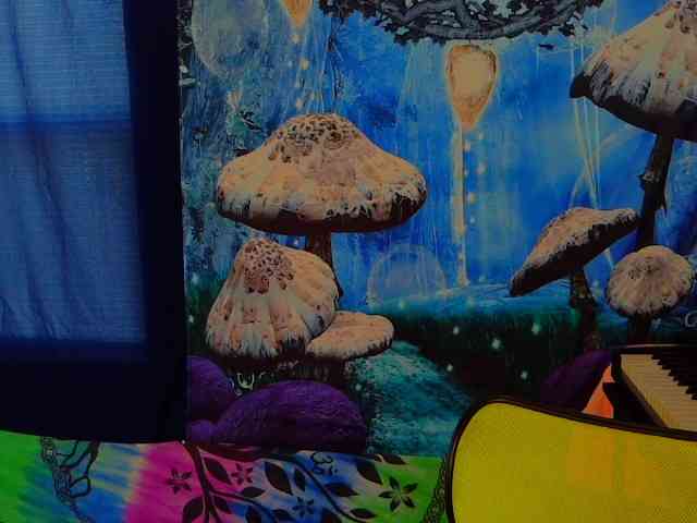 stormythunder webcam