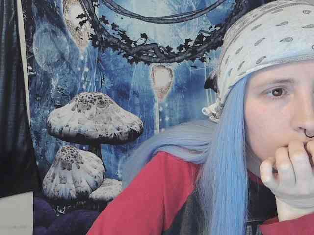 stormythunder webcam