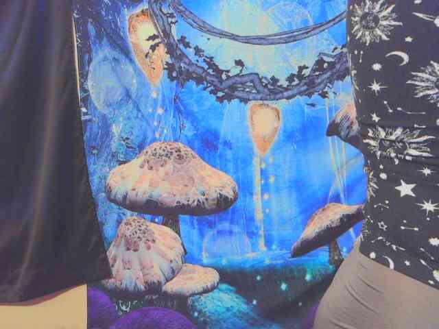 stormythunder webcam