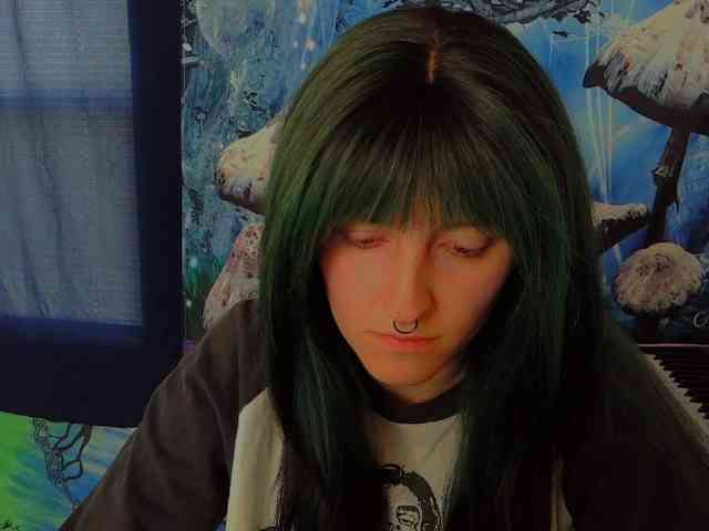 stormythunder webcam