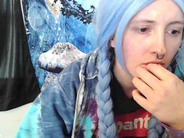 stormythunder webcam