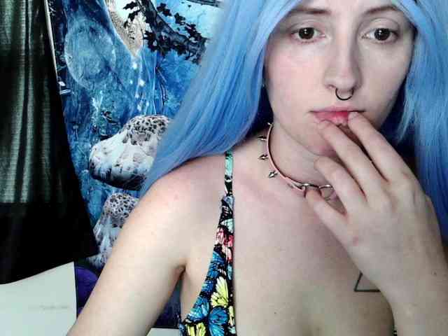 stormythunder webcam