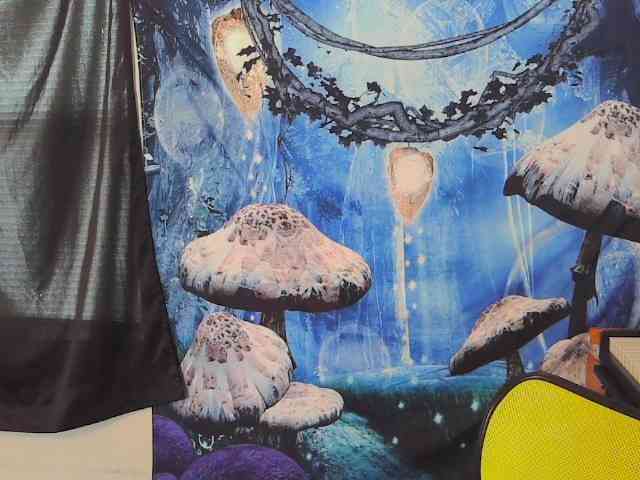 stormythunder webcam