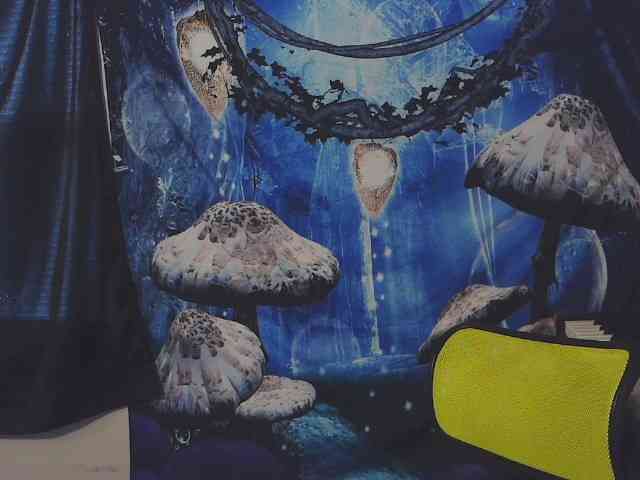 stormythunder webcam