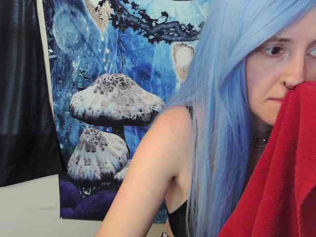 stormythunder webcam