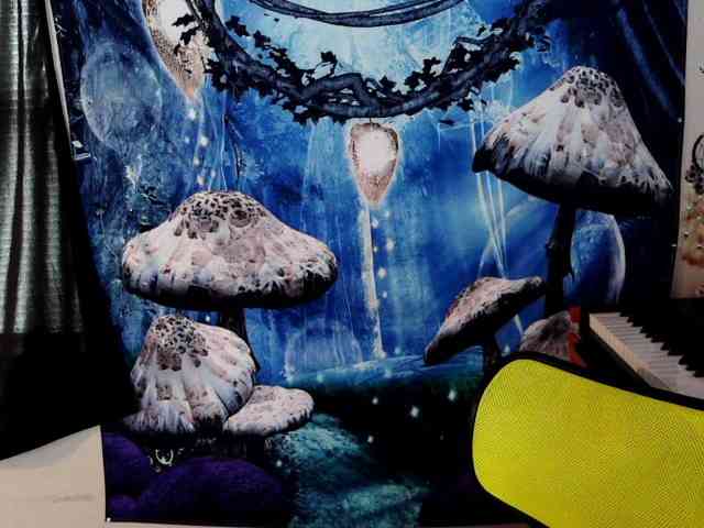 stormythunder webcam