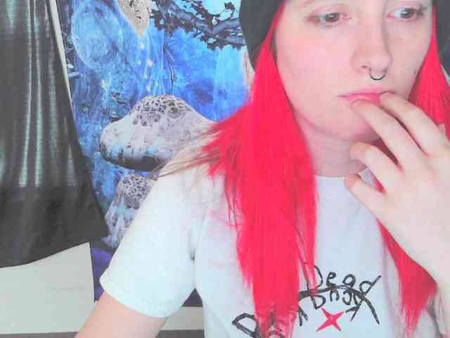 stormythunder webcam