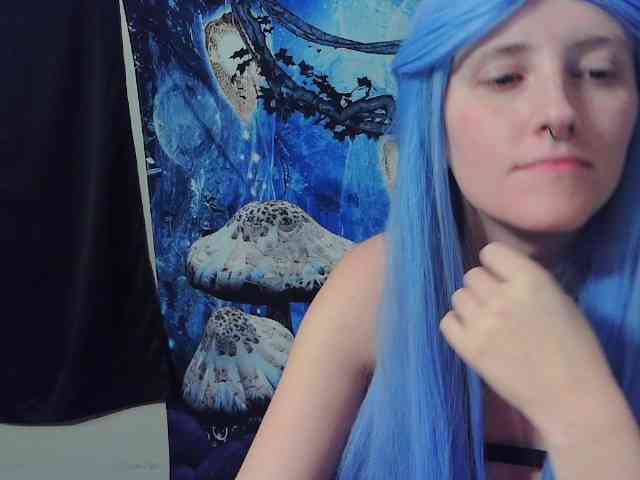 stormythunder webcam