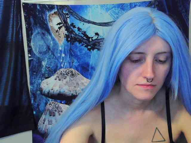 stormythunder webcam