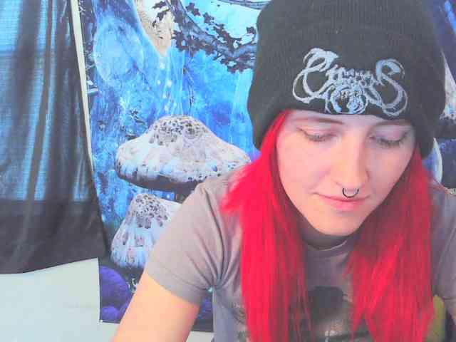 stormythunder webcam