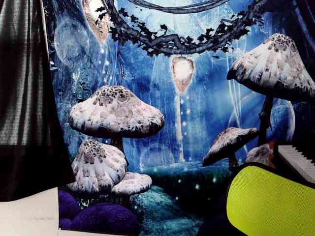 stormythunder webcam