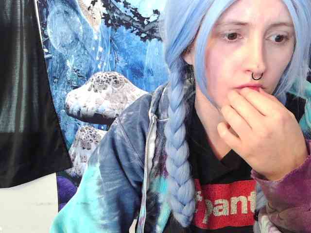 stormythunder webcam