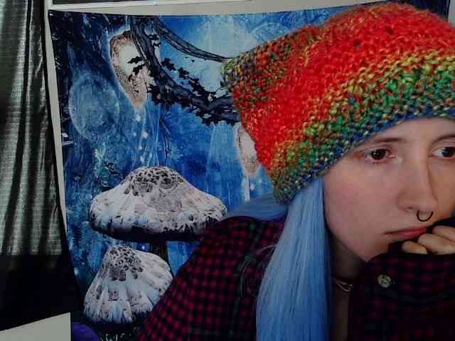 stormythunder webcam