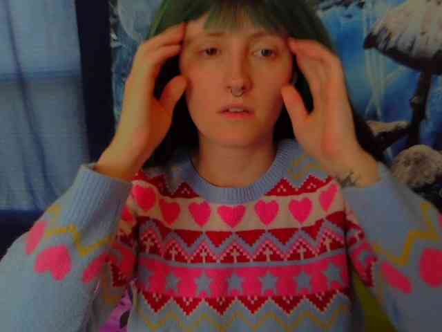 stormythunder webcam