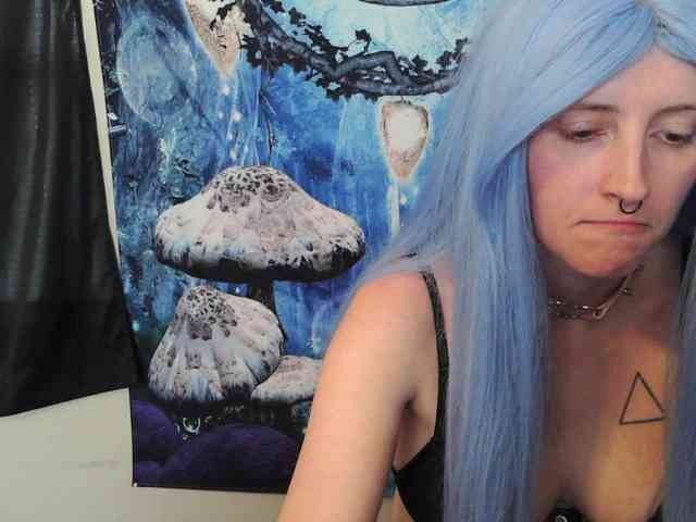 stormythunder webcam