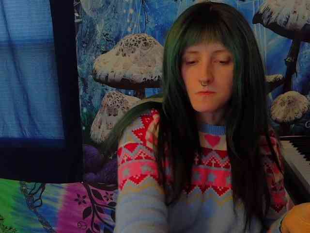 stormythunder webcam