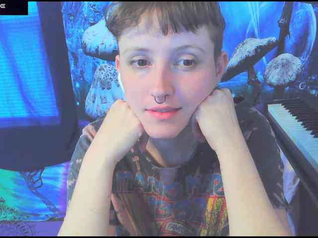 stormythunder webcam