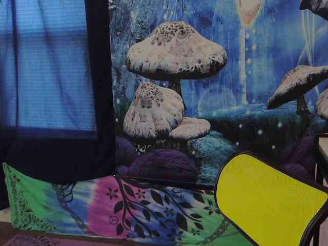 stormythunder webcam