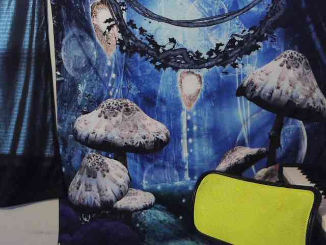 stormythunder webcam