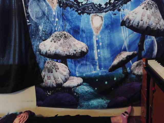 stormythunder webcam