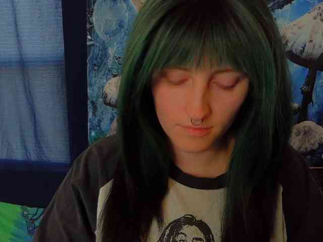 stormythunder webcam