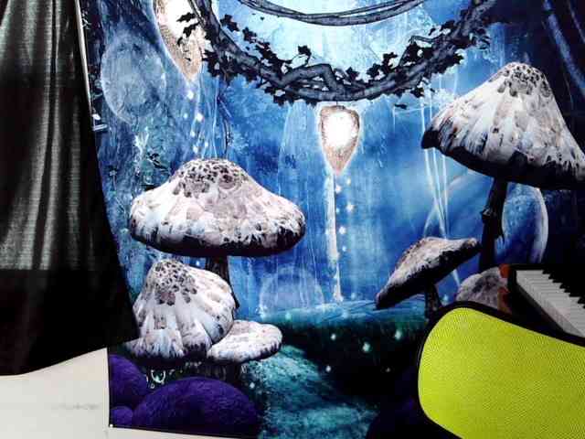 stormythunder webcam