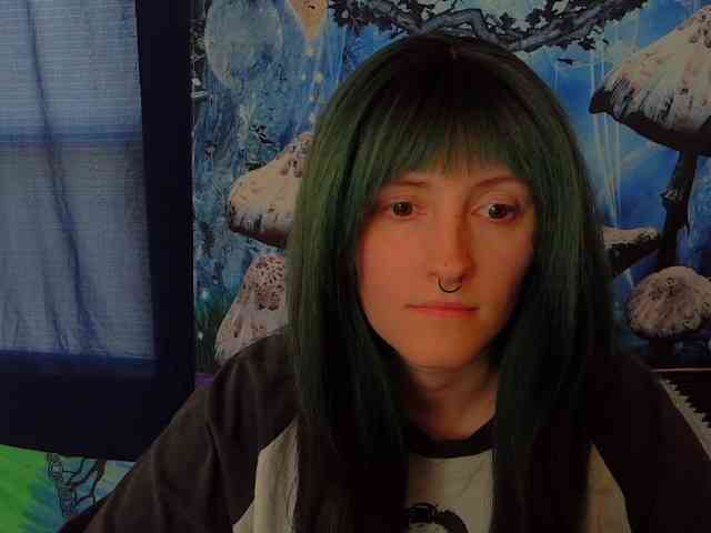 stormythunder webcam