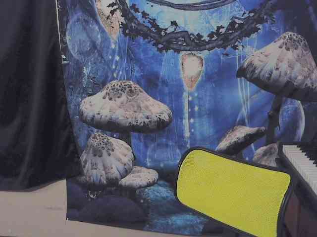 stormythunder webcam