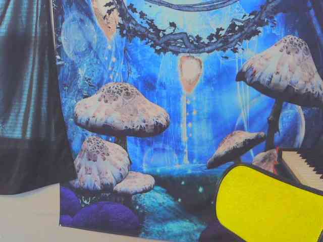 stormythunder webcam