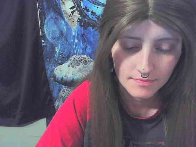 stormythunder webcam