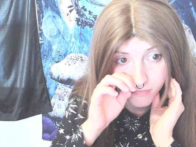 stormythunder webcam